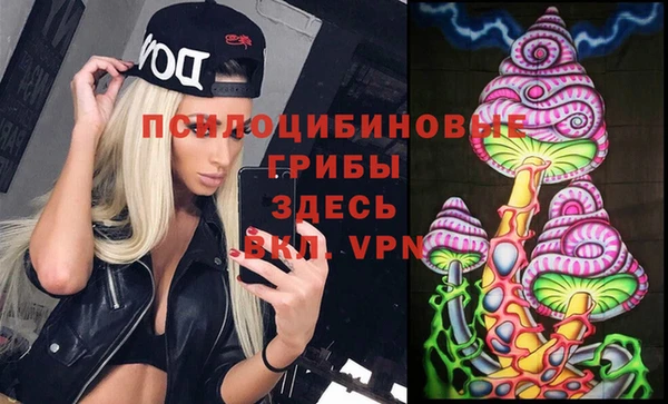прущие крисы Арсеньев