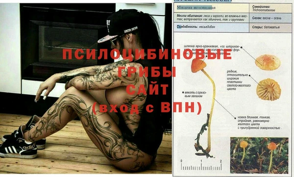 прущие крисы Арсеньев