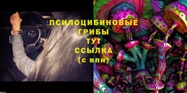 прущие крисы Арсеньев