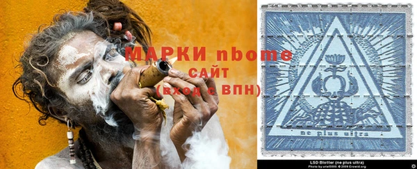 ешки Аркадак