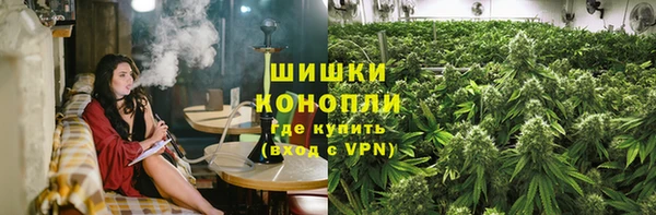ешки Аркадак