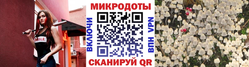 Псилоцибиновые грибы мухоморы  Теберда 